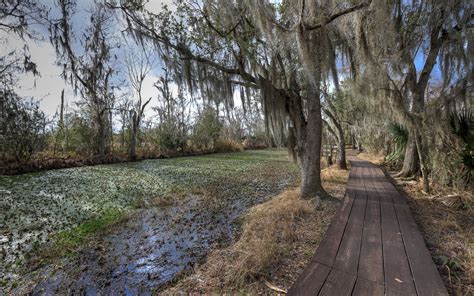 jean lafitte national park facts.